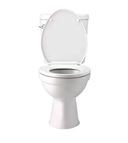 Western Toilet